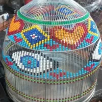 سهره خاکی جوجه ی دو ماهه