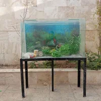 آکواریوم شیشه خم