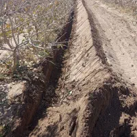 دستگاه ترنچر برای چاله کودی بسیار تمیز..|خدمات باغبانی و درختکاری|رفسنجان, |دیوار