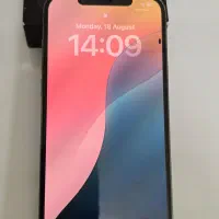 اپل ۱۲پرومکس ۲۵۶