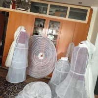 اجاره فروش کت پشمی ژپون و تور و شنل عروس