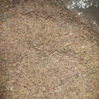 قدومه بذری|عمدهفروشی|زرقان, |دیوار