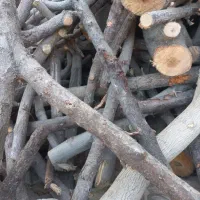 خریدار چوب ذغالی باغی میوه ای تمامی اصفهان