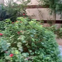 اجاره-خانه-ویلایی