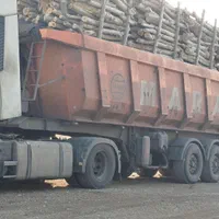 خرید چوب اکالیپتوس با بالاترین قیمت|خدمات باغبانی و درختکاری|رامهرمز, |دیوار