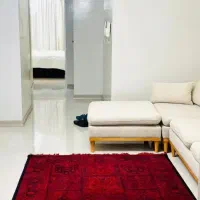 استخدام خانوم با جهت گردگیزی منزل