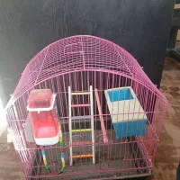 قفس پرنده|لوازم جانبی حیوانات|رباطکریم, شهرک صنعتی پرند|دیوار