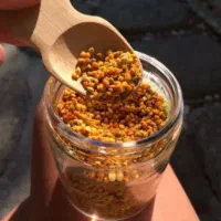 گرده گل کوهستان بمب انرژی|خوردنی و آشامیدنی|قم, چهار مردان|دیوار