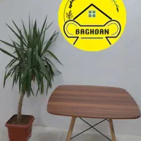 صندلی پلاستیکی پلیمری کافه غذاخوری(باغدان)مدل تینا|میز و صندلی غذاخوری|چهارباغ, |دیوار