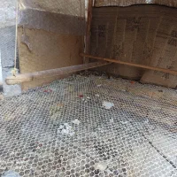 قفس توری مرغ و خروس بوقلمون کبوتر..|لوازم جانبی حیوانات|کرمان, |دیوار