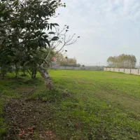 فروش زمین با خانه نزدیک گلسار