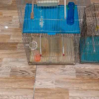 قفس سه عدد متوسط ویک عدد بزرگ جای طوطی|لوازم جانبی حیوانات|سنندج, |دیوار