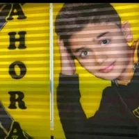 ابزار الات، پرده زبرا،پرده زبرا کودک چاپی،نصب کاری|پرده، رانر، رومیزی|ارومیه, |دیوار