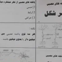 جزوه زیست یازدهم پاکنیت ،تقویتی کنکوری|کتاب و مجله آموزشی|نی‌ریز, |دیوار