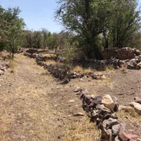 ۶هکتار باغ. سند تک برگ. اکوسیستم بکر و منحصر بفرد.|فروش زمین و ملک کلنگی|نائین, |دیوار