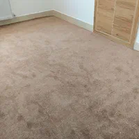 موکت پالاز پرزبلند( تنها نمایندگی پالاز کاشان)|موکت|کاشان, میدانگاه آقا|دیوار