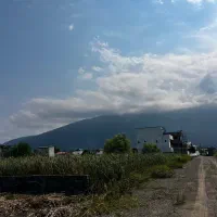 ۳۸۵ متر زمین مناسب آپارتمان سازی