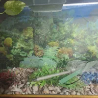 اکواریوم بزرگ|ماهی|مشهد, حسینآباد|دیوار