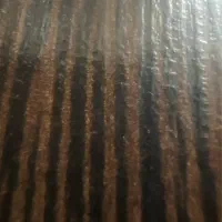 ساینا اس اسفند ۱۴۰۳