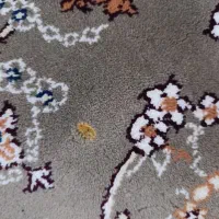 فرش ۳/۴ زمرد مشهد|فرش|مشهد, شهید قربانی|دیوار