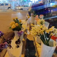 گل رزونرگس گل مریم گل کلایل|گل و گیاه طبیعی|بهبهان, |دیوار