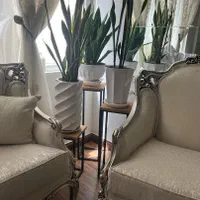 استند فلزی گلدان|گل و گیاه طبیعی|تهران, آهنگ|دیوار