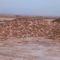 بشرط سالنی کود مرغی