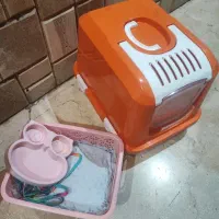 وسایل گربه