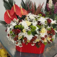 گلهای زیبا و شاداب