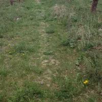 هزار متر زمین کشاورزی