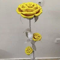 کنارسالنی،آباژور