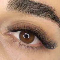 مژه موقت فقط و فقط ۲۵۰ به مدت محدود