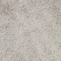 برنج لاشه فوق العاده درشت آچاچی