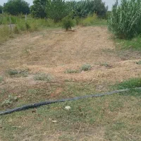 زمین زراعی
