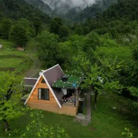 اجاره ویلا و کلبه جنگلی