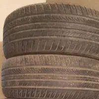 لاستیک سمندی و پژویی