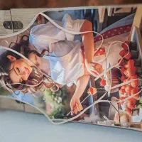 پیشبند|سفره، حوله، دستمال آشپزخانه|دوگنبدان, |دیوار