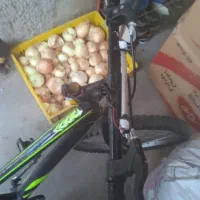 دوچرخه (سایز)20|دوچرخه، اسکیت، اسکوتر|رشت, دروازه لاکان|دیوار