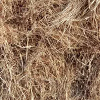 فروش یونجه خشک