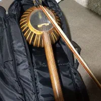 کمانچه نریمان|سازهای سنتی|داراب, |دیوار