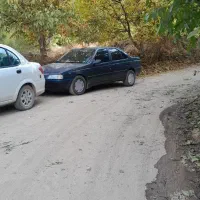 ۴۰۵ دوگانه دستی