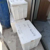 یخدان یونولیت