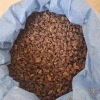کشمش و مویز کلستان