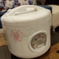 هواپز و پلوپز