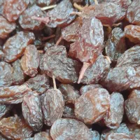 کشمش بیدانه|خوردنی و آشامیدنی|تاکستان, |دیوار