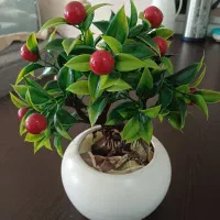 گل وگلدان  زیبا کاملا نووسالم