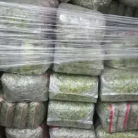 باقالی باقلا باقالی سبز پلویی