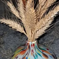 اسکان برای زوجین
