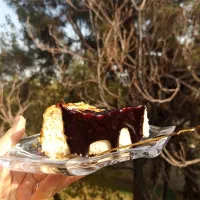 چیز کیک|خوردنی و آشامیدنی|تهران, تختی|دیوار