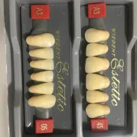 پروتز متحرک دندانی